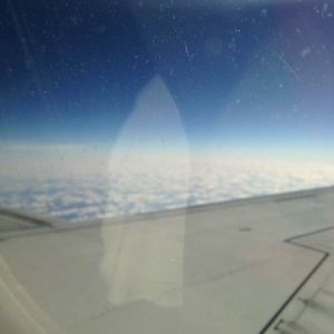 Meet your Posher, Deborah lorenzo